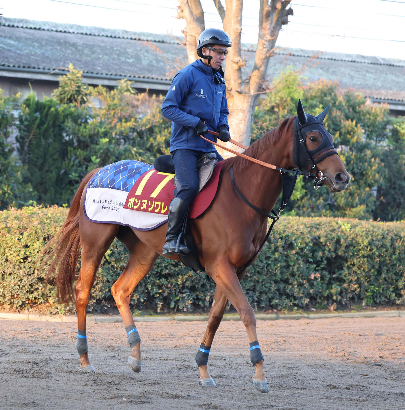 馬場へ向かうボンヌソワレ（撮影・丹羽敏通）