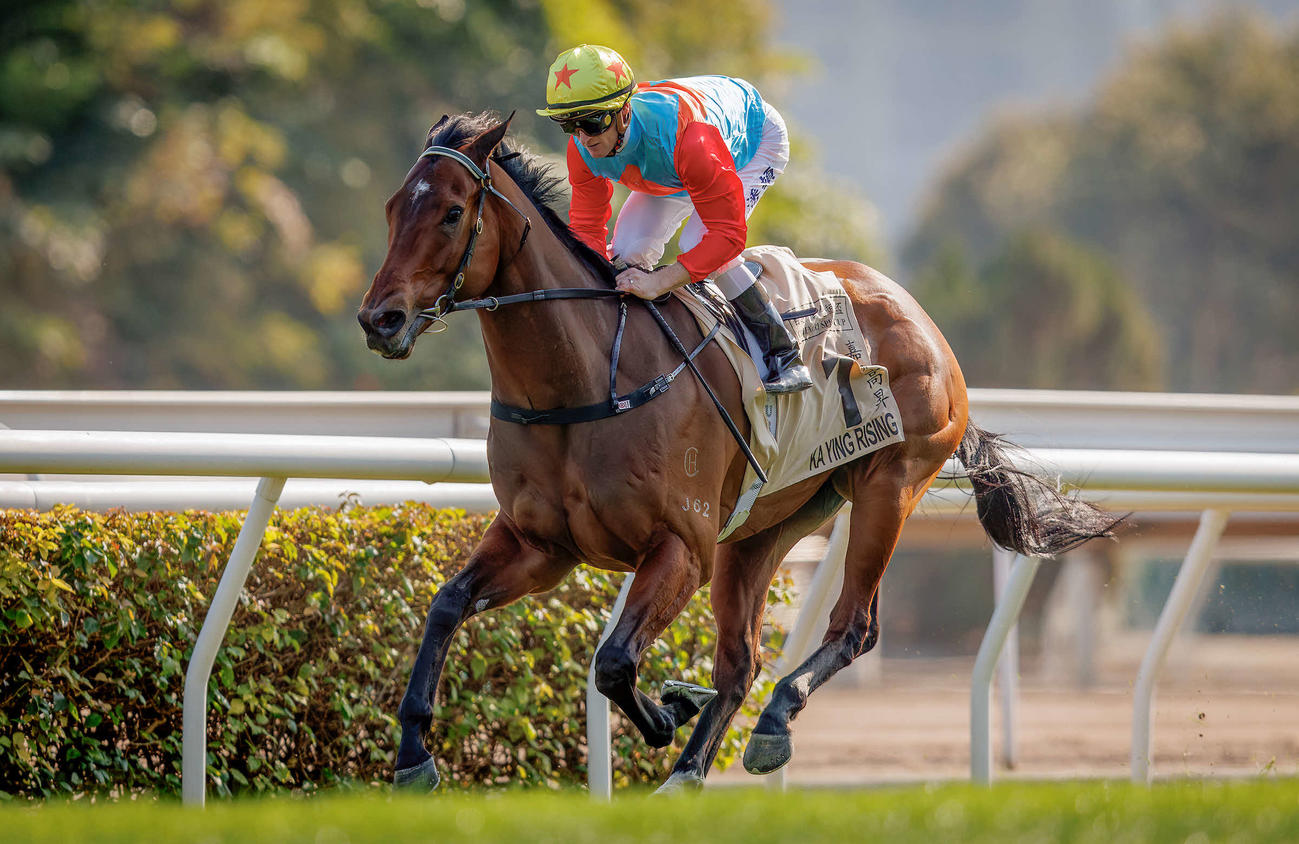 香港のスプリント王カーインライジング（（C）The Hong Kong Jockey Club）