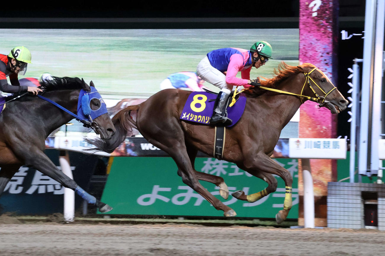 2周目の4コーナーで先頭に立ち川崎記念を制したメイショウハリオと浜中俊騎手
