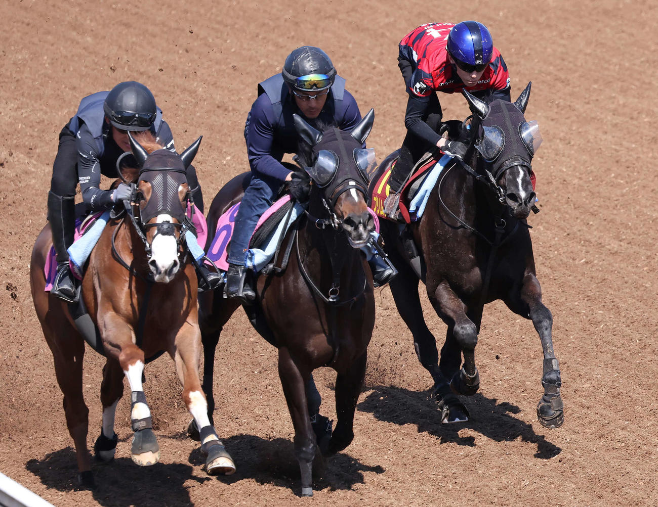 プリムツァール（右）は津村騎手を背に美浦坂路を3頭併せで追い切られた（撮影・丹羽敏通）
