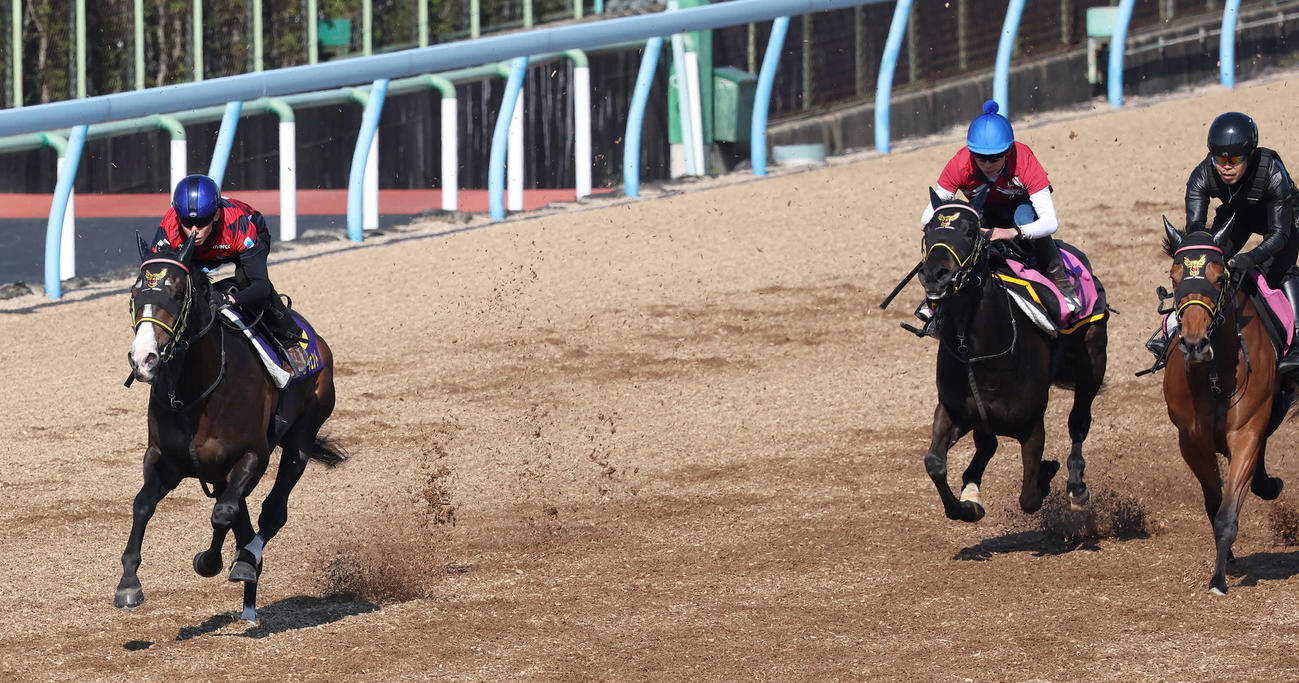 ニシノエージェント（左）は津村騎手を背に美浦ウッドを3頭併せで追い切られた（撮影・丹羽敏通）