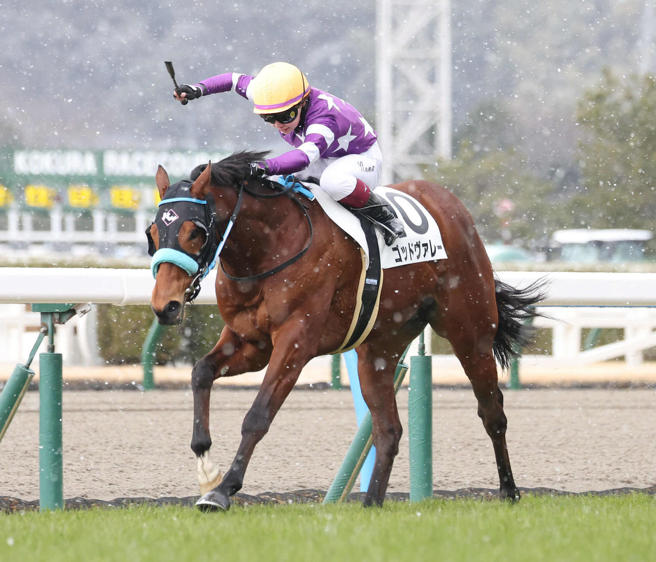 2月8日小倉7Rの3歳未勝利戦を制したゴッドヴァレー