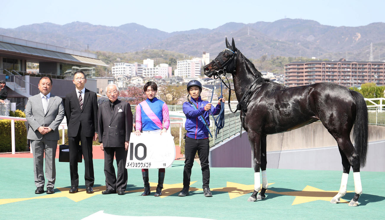 阪神1R、3歳未勝利を勝ち上がったメイショウウメゴチと口取りに並ぶ鮫島駿騎手（右から2人目）（撮影・白石智彦）