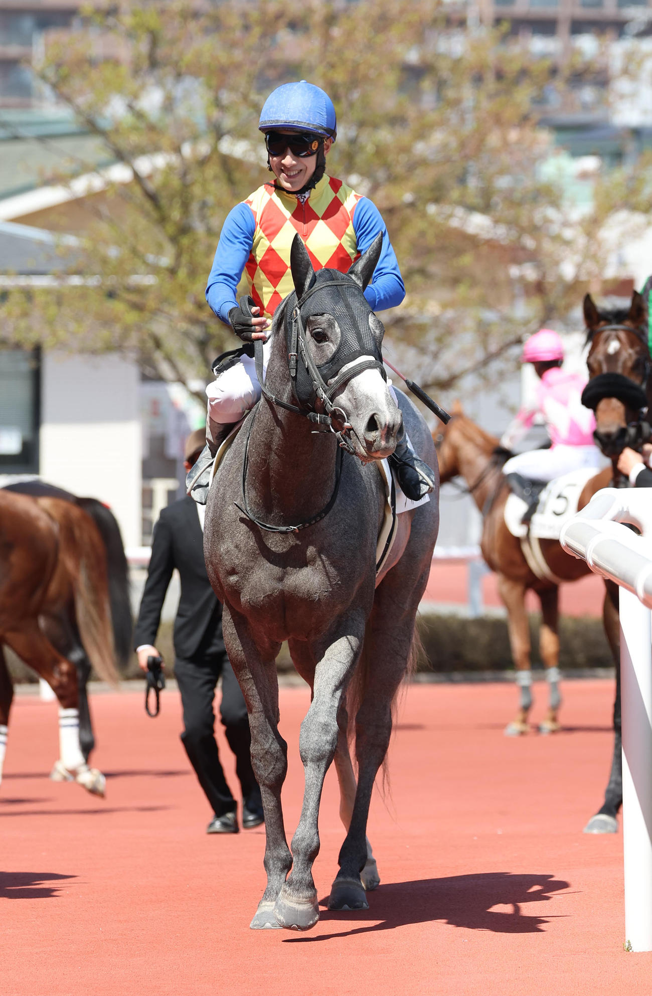 阪神2R、3歳未勝利を勝ち上がったテーオーミカリン（撮影・白石智彦）