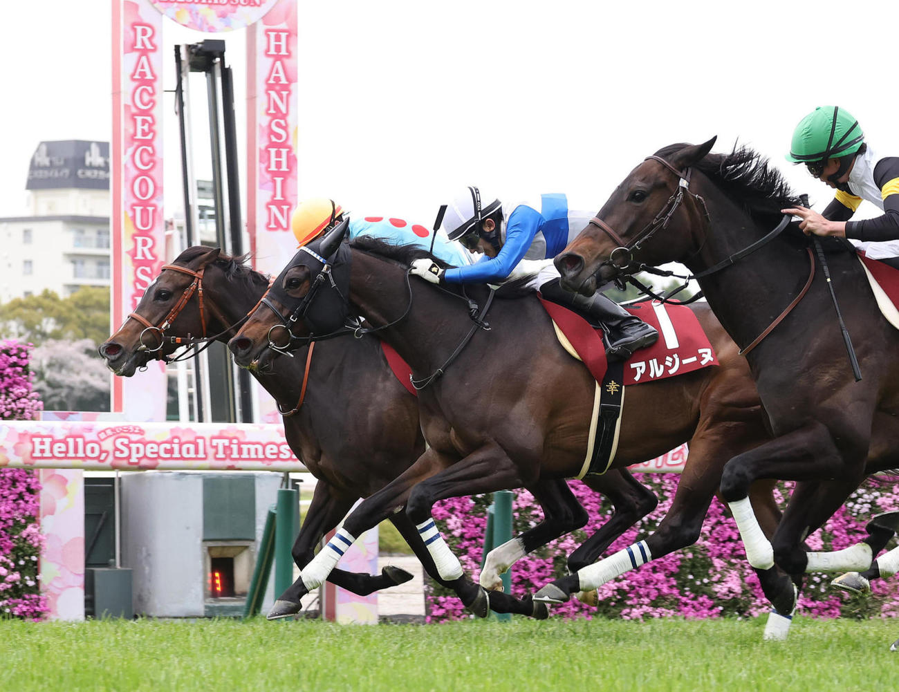 ゴール前の大接戦を鼻差しのいで阪神牝馬Sを制したサフィラ（左）（撮影・白石智彦）