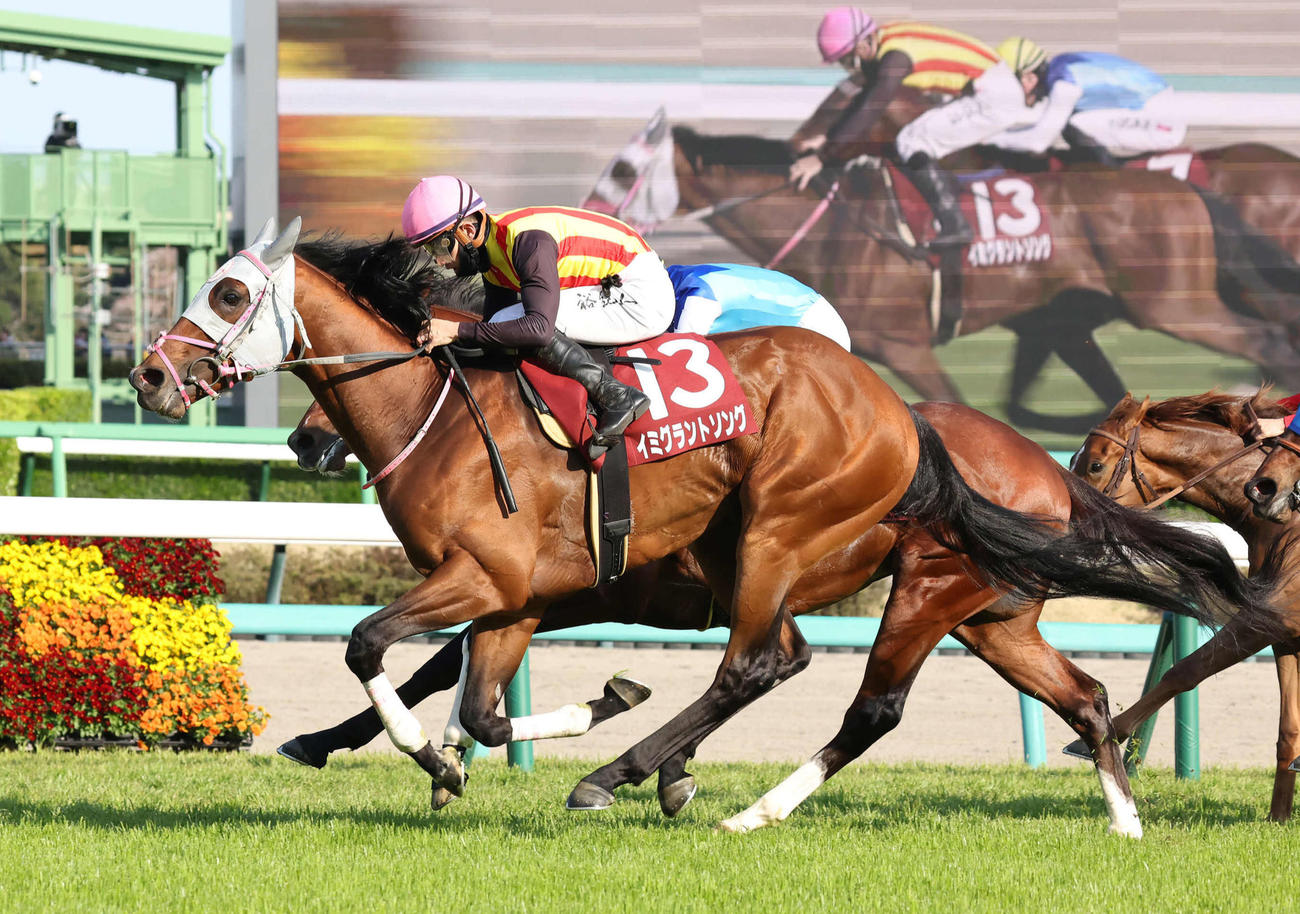 直線鋭く伸びてNZTを制したイミグラントソングと石川騎手（撮影・丹羽敏通）