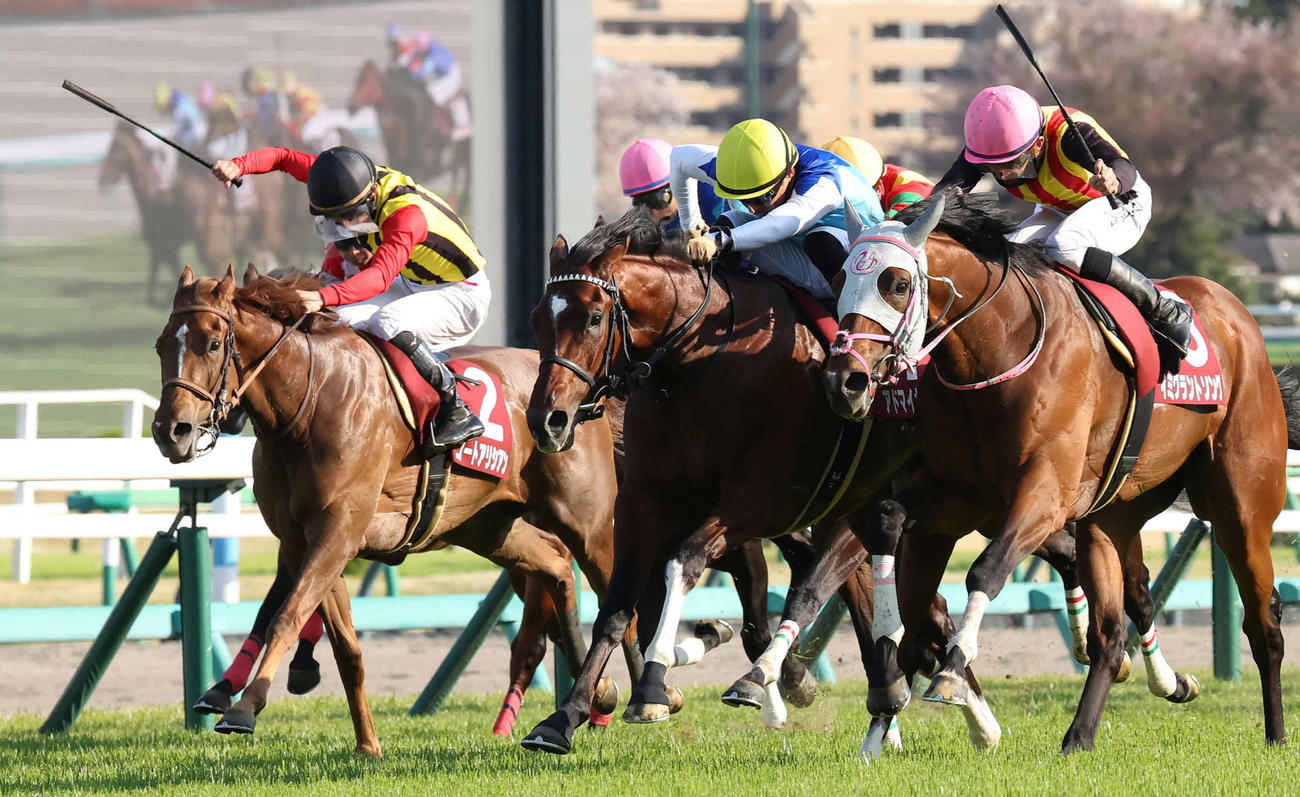 NZT3着のコートアリシアン（左）。右は勝ったイミグラントソング（撮影・丹羽敏通）