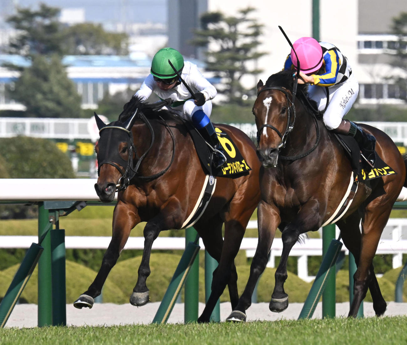 若葉S2着に敗れたローランドバローズ（左）。右は勝ったジョバンニ
