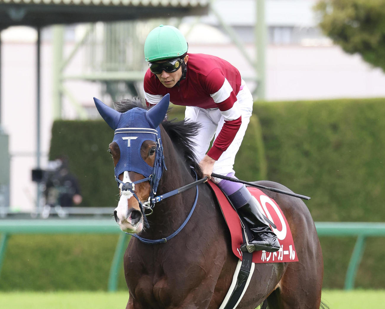 阪神牝馬S、5着に敗れた1番人気のボンドガール（撮影・白石智彦）