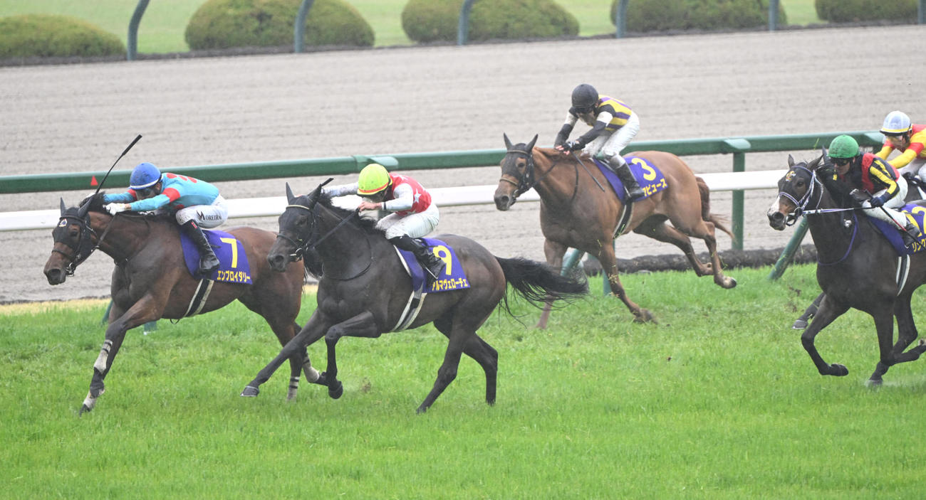 直線で抜け出し桜花賞を制するエンブロイダリー、2着アルマヴェローチェ（撮影・和賀正仁）