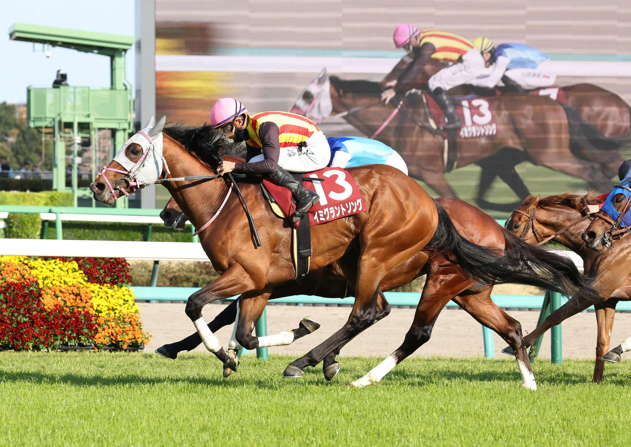 直線鋭く伸びてNZTを制したイミグラントソングと石川騎手（撮影・丹羽敏通）