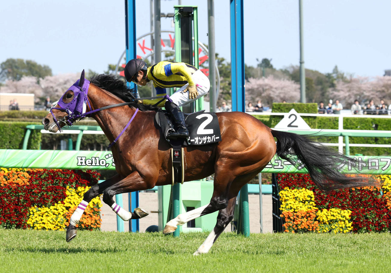 山藤賞を制したビーオンザカバーと川田騎手（撮影・丹羽敏通）