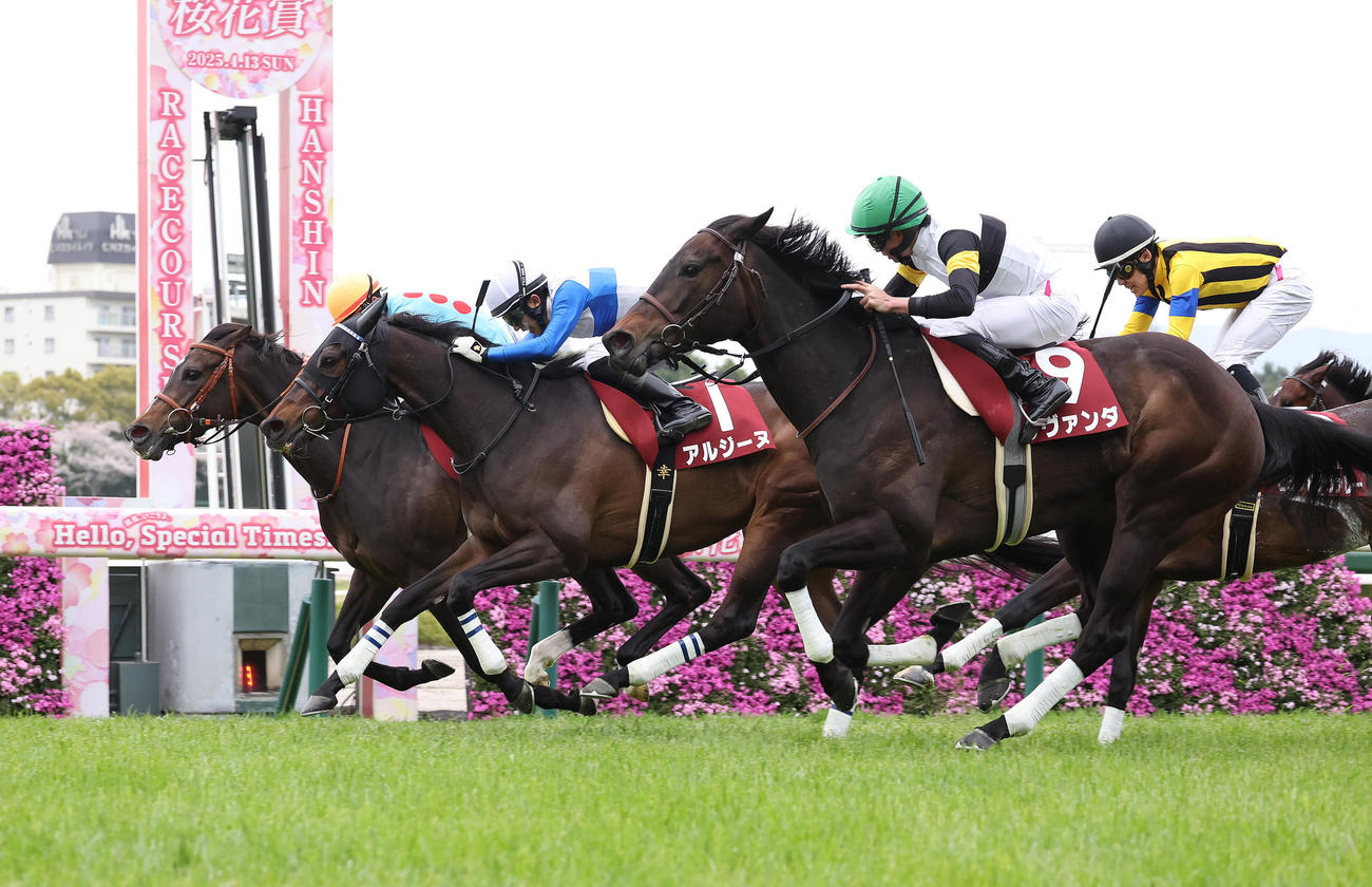 阪神牝馬Sで2着のアルジーヌ（中）（撮影・白石智彦）