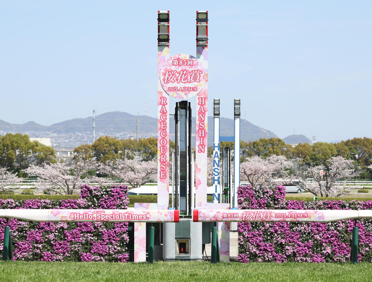 桜花賞用に装飾されたゴール板（撮影・白石智彦）