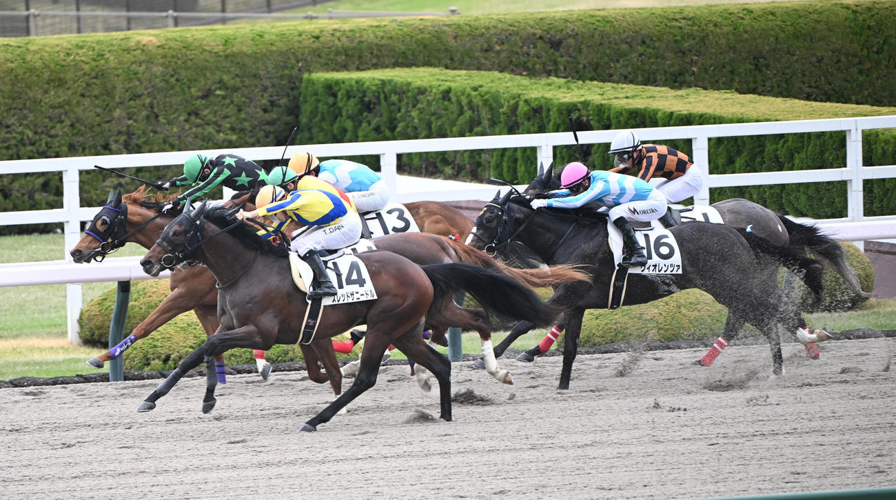 阪神3R、1着スレッドザニードル（左手前）（撮影・和賀正仁）
