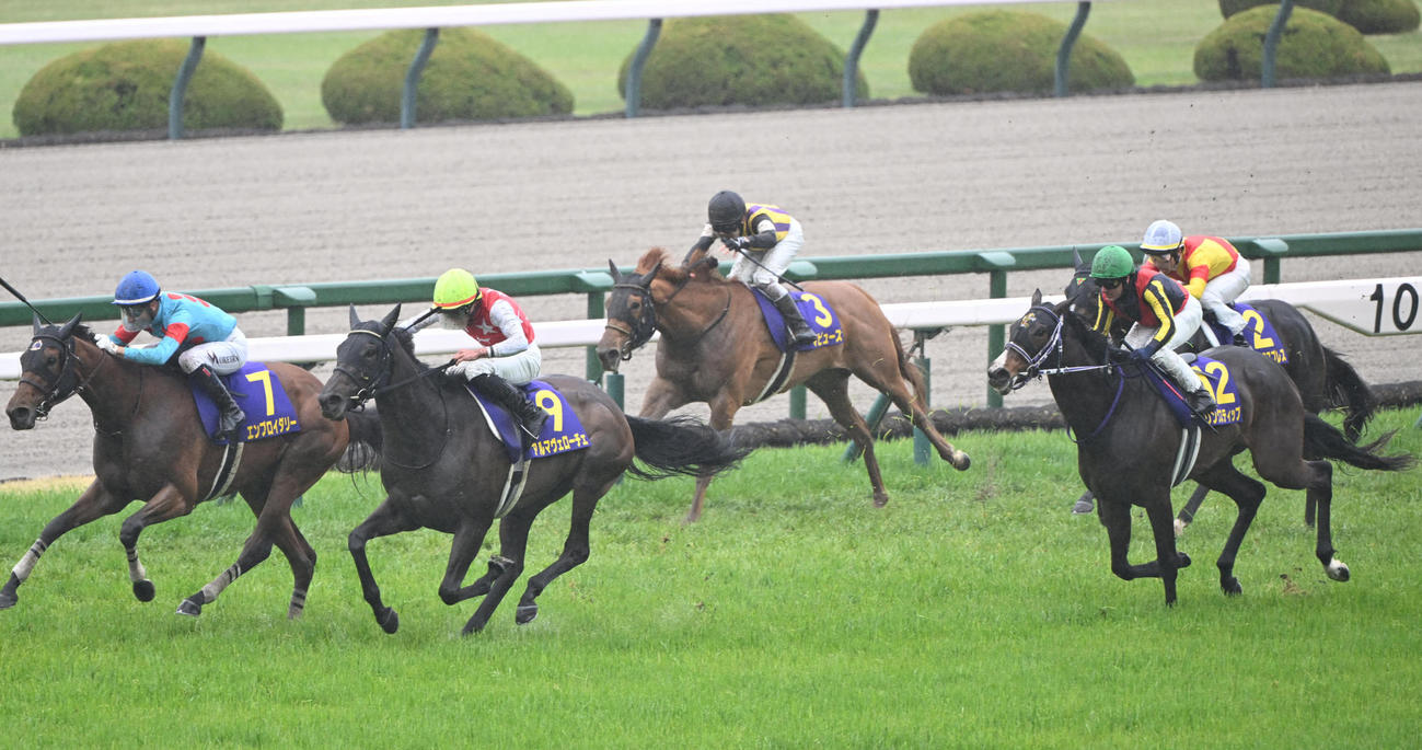 桜花賞5着に敗れたエリカエクスプレス（右端）。左は勝ったエンブロイダリー（撮影・和賀正仁）