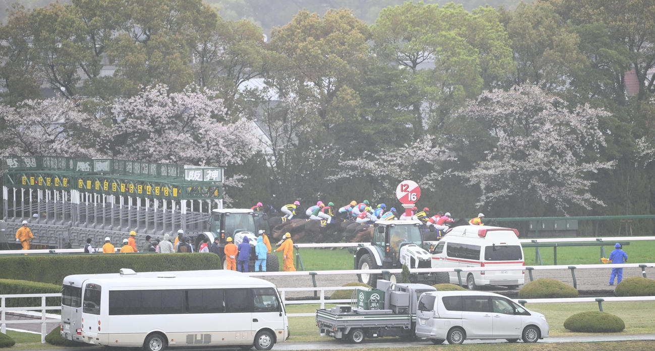 桜花賞　スタートする各馬（撮影・和賀正仁）