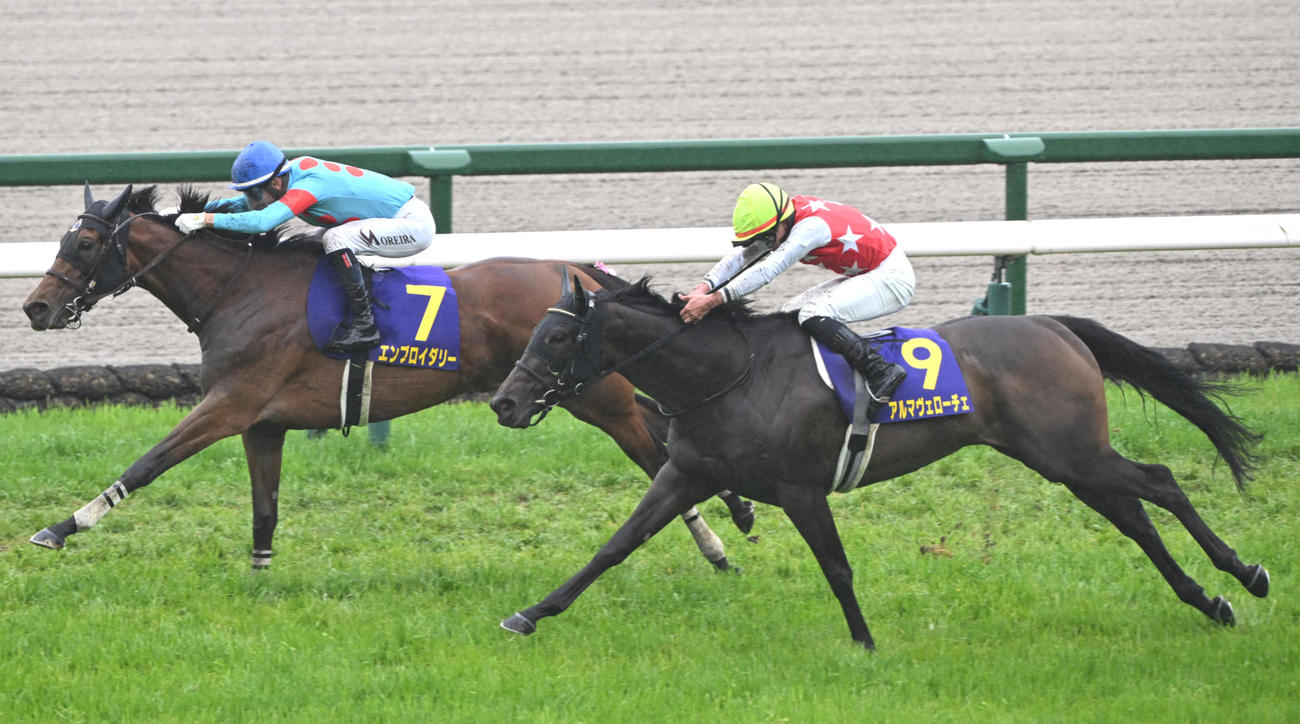 桜花賞2着に敗れたアルマヴェローチェ（手前）。奥は勝ったエンブロイダリー、（撮影・和賀正仁）