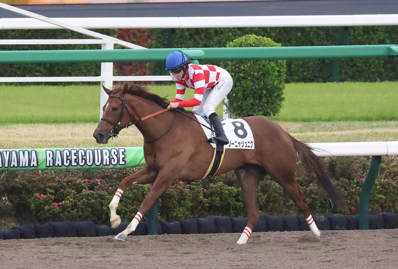 中山12R、4歳上牝馬限定の1勝クラスを逃げ切ったソーニャシュニクと今村騎手（撮影・丹羽敏通）