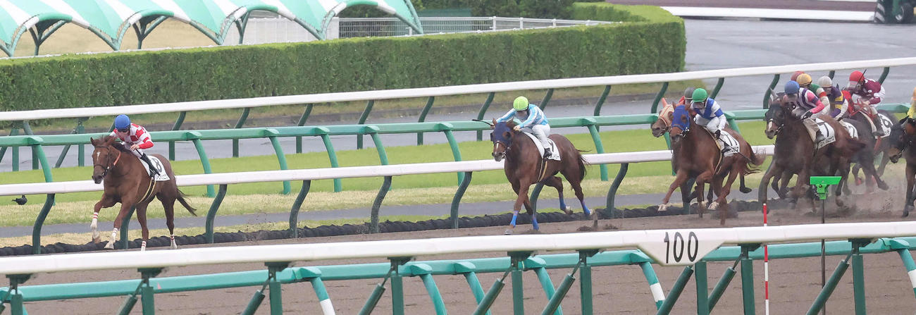 中山12R、4歳上牝馬限定の1勝クラスを逃げ切ったソーニャシュニクと今村騎手（撮影・丹羽敏通）