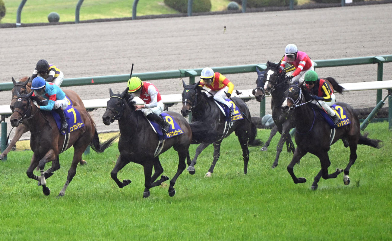 桜花賞3着に敗れたリンクスティップ（右）（撮影・和賀正仁）