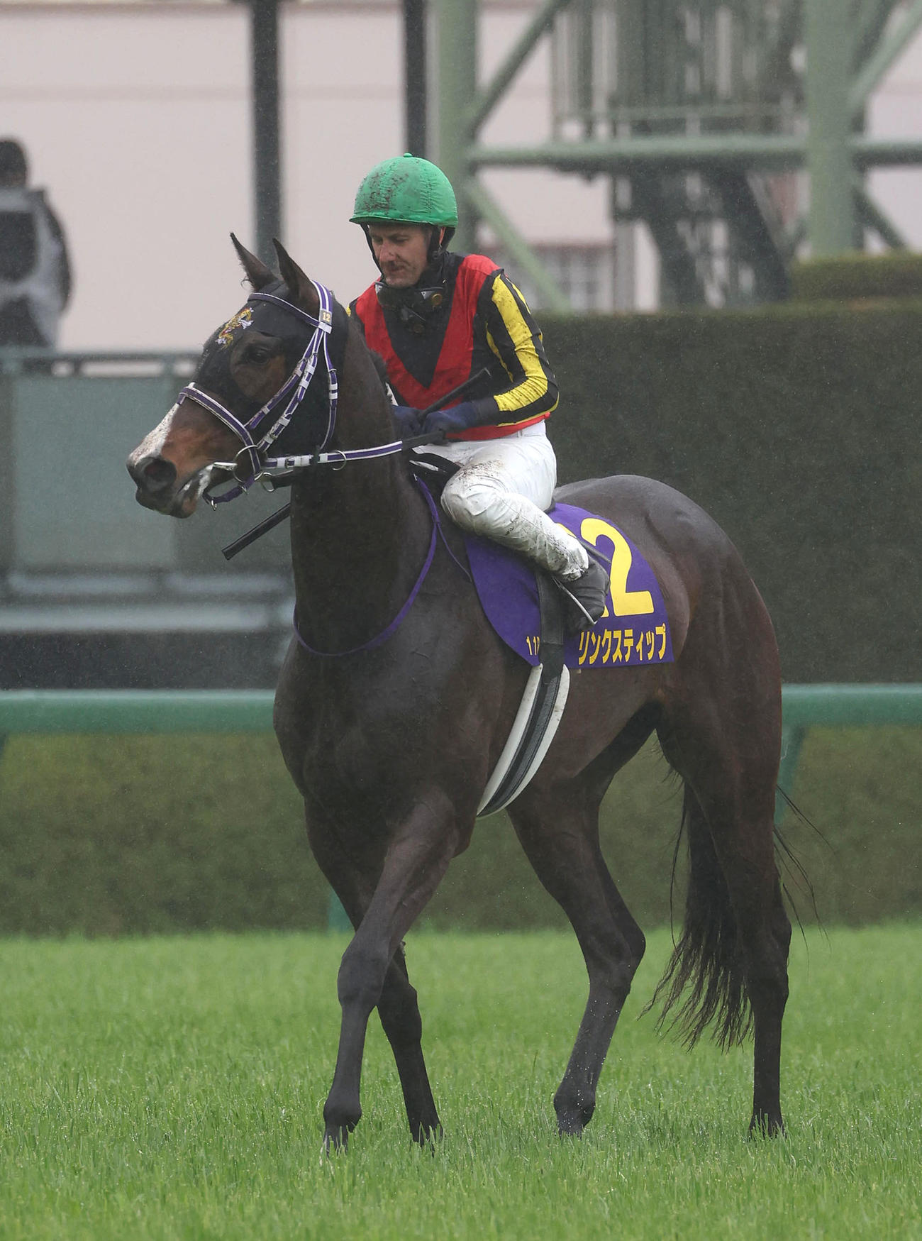 阪神11R桜花賞、3着に敗れたリンクスティップ（撮影・白石智彦）
