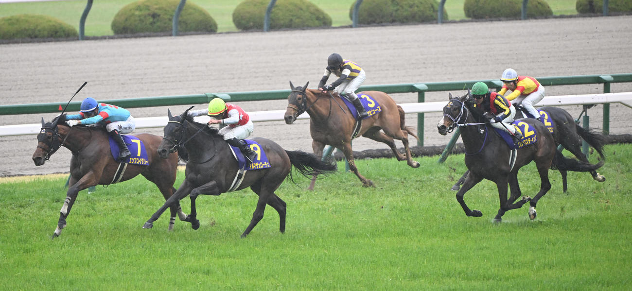 桜花賞　4着と健闘したマピュース（中央）（撮影・和賀正仁）