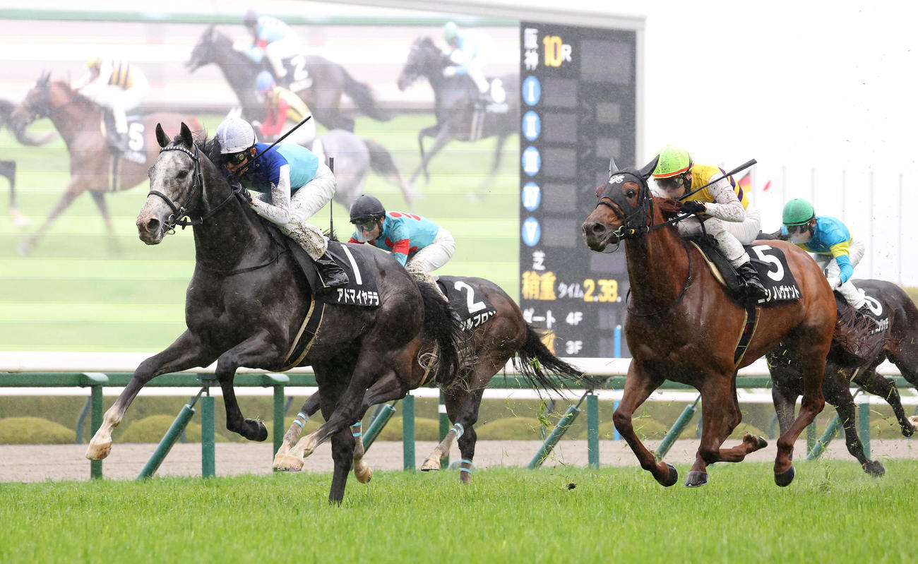 阪神10R、直線抜け出して大阪－ハンブルクCを制したアドマイヤテラ（左）（撮影・白石智彦）