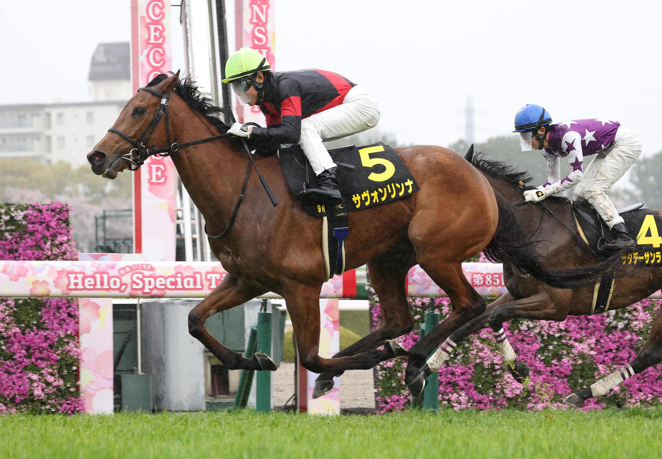 阪神9R、直線抜け出して忘れな草賞を制したサヴォンリンナ（撮影・白石智彦）