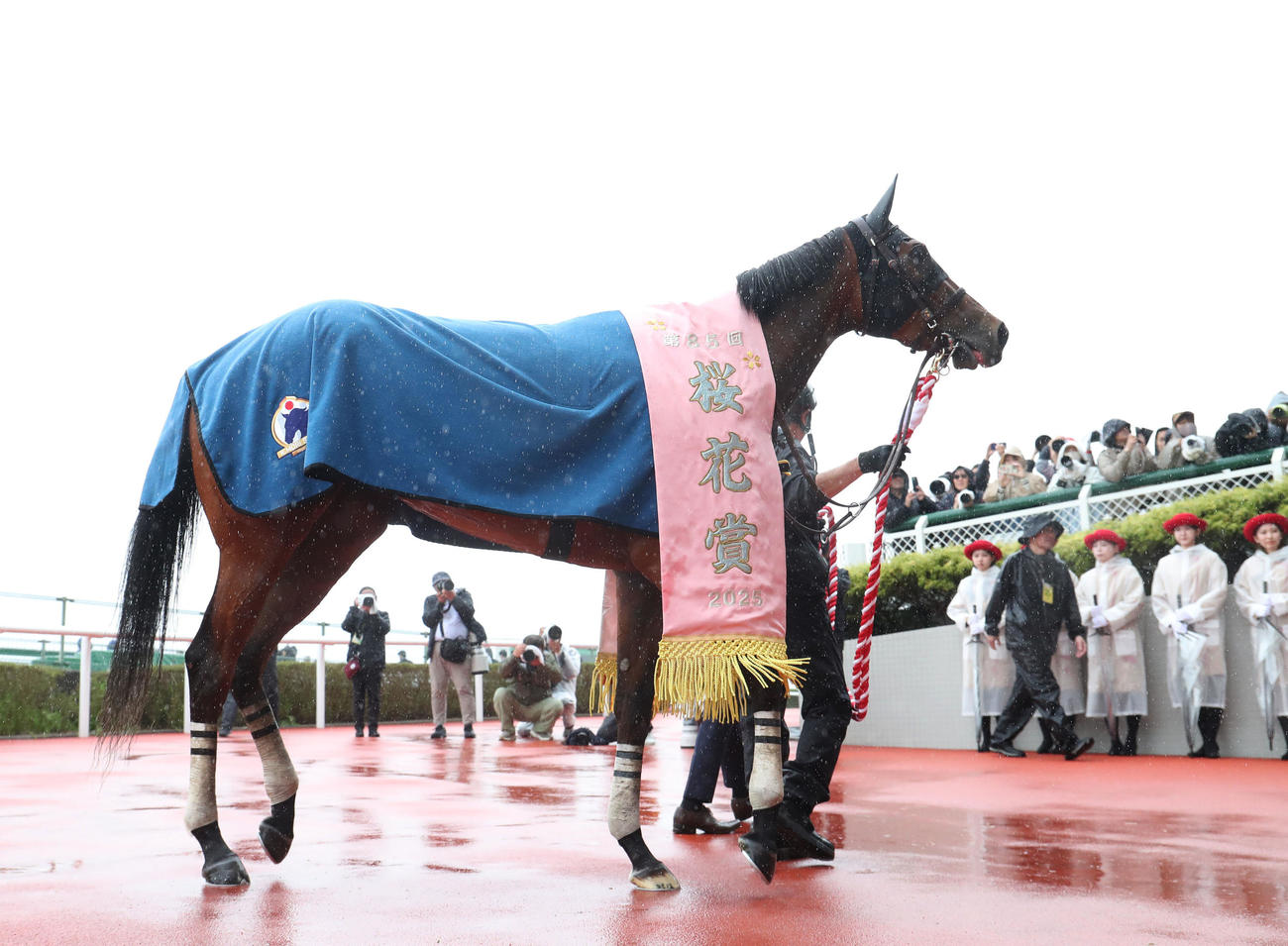阪神11R、桜花賞を制したエンブロイダリー（撮影・白石智彦）