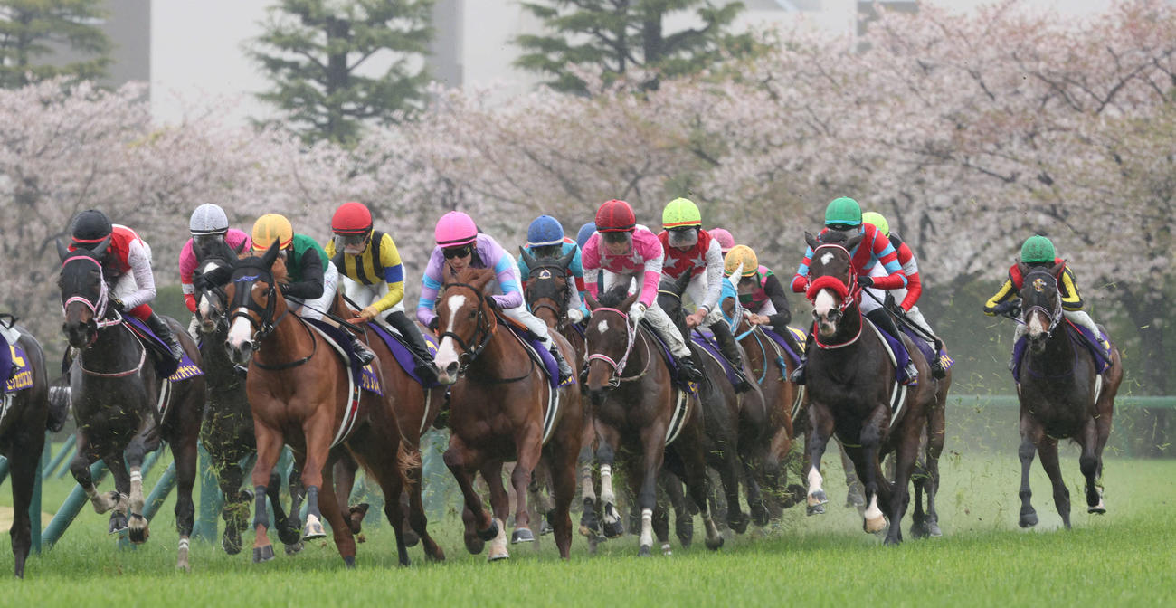 桜をバックに桜花賞で激走する出走各馬（撮影・西尾就之）