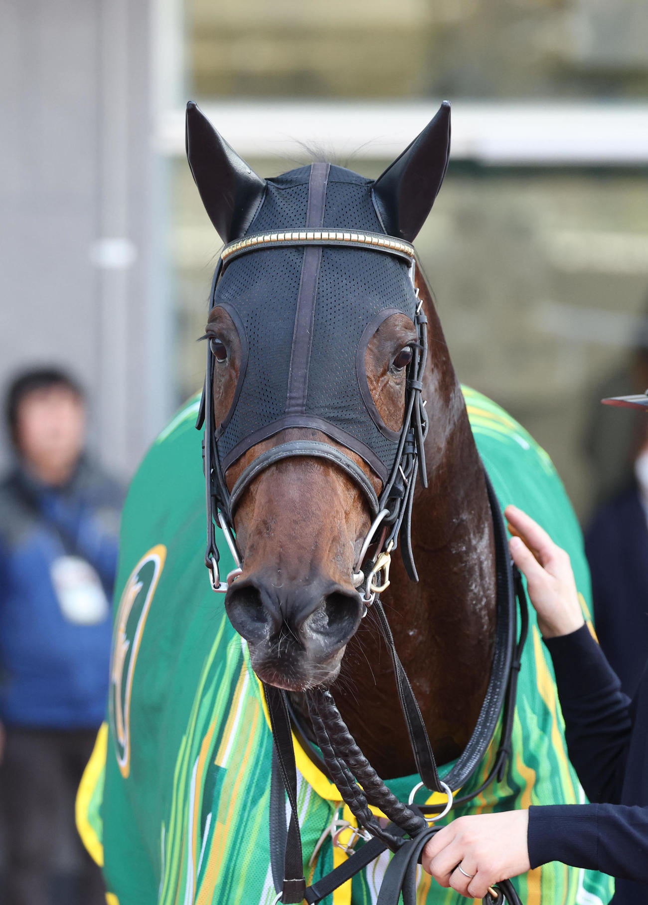 阪神9R、すみれSを制したジーティーアダマン（撮影・白石智彦）