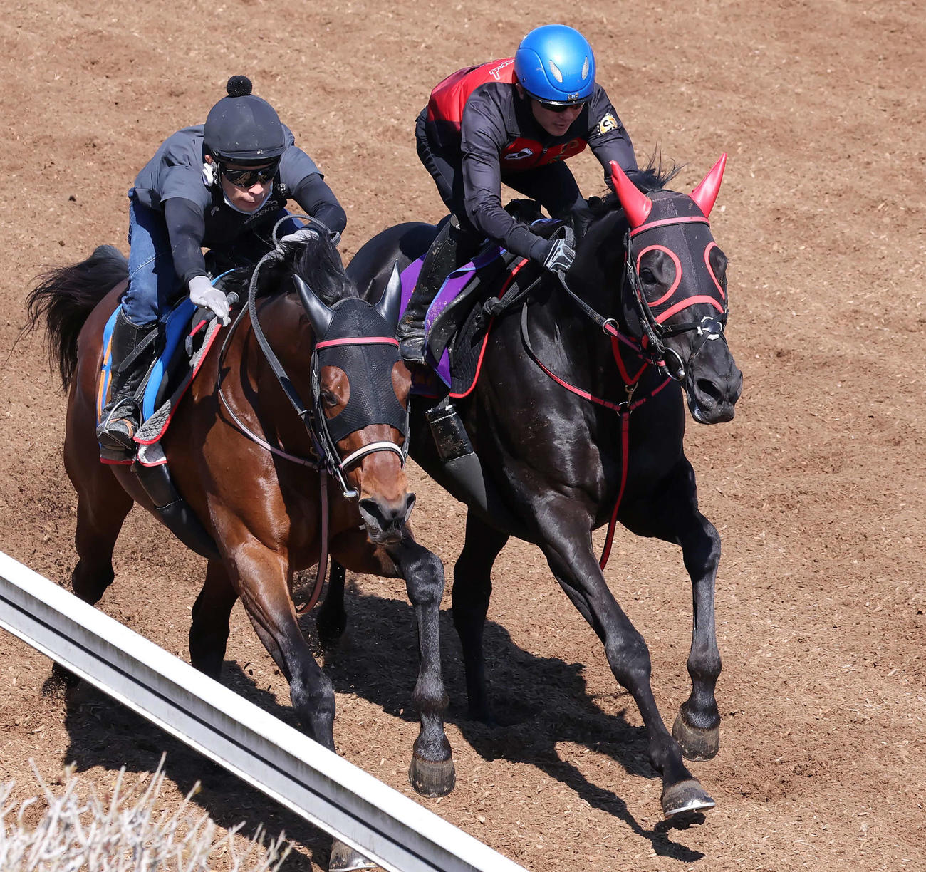 2025年4月9日、マイネルグロン（右）はマイネルクロンヌと併せて追い切られた