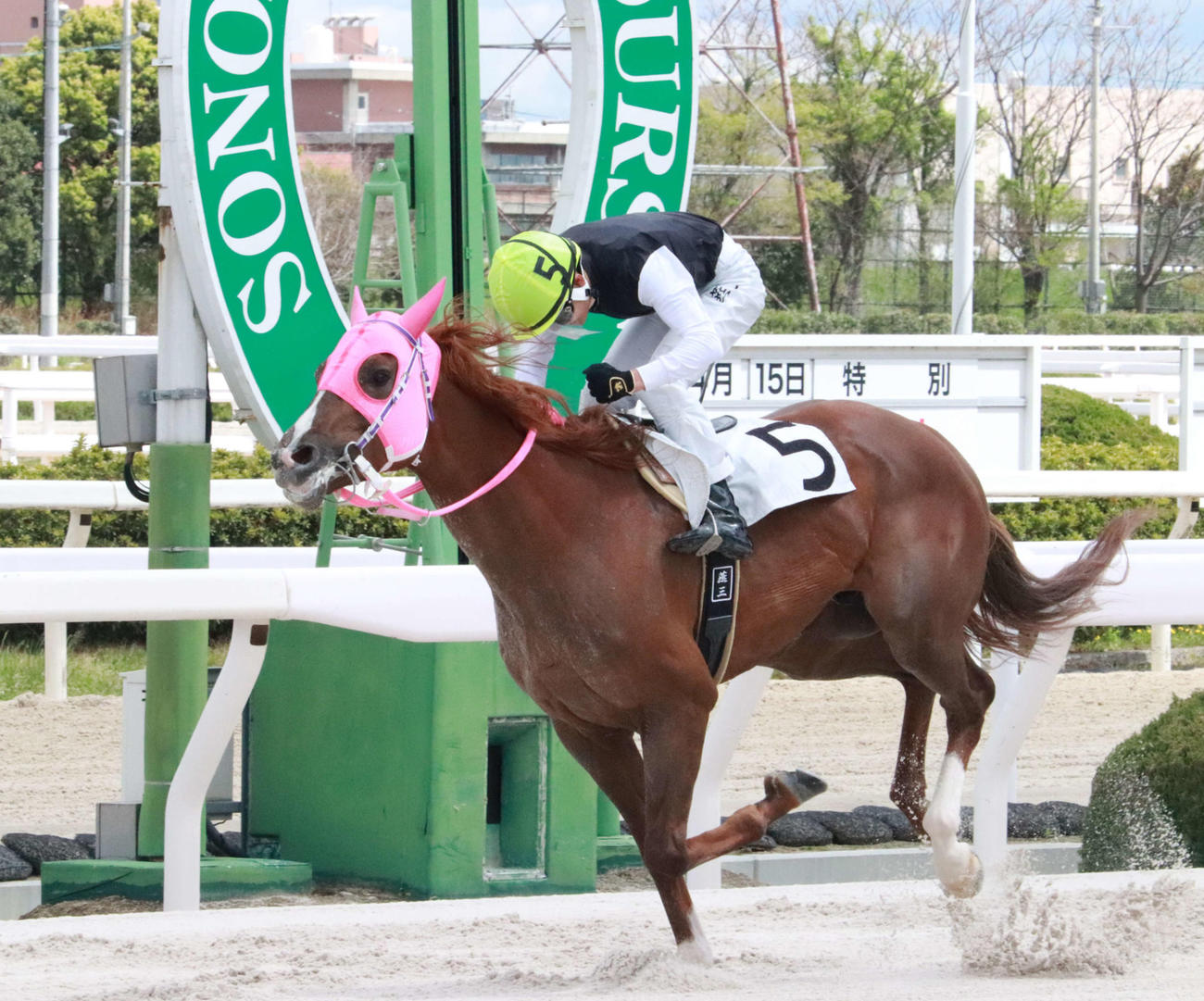 15日の園田1Rで初騎乗初勝利を達成した米玉利燕三騎手
