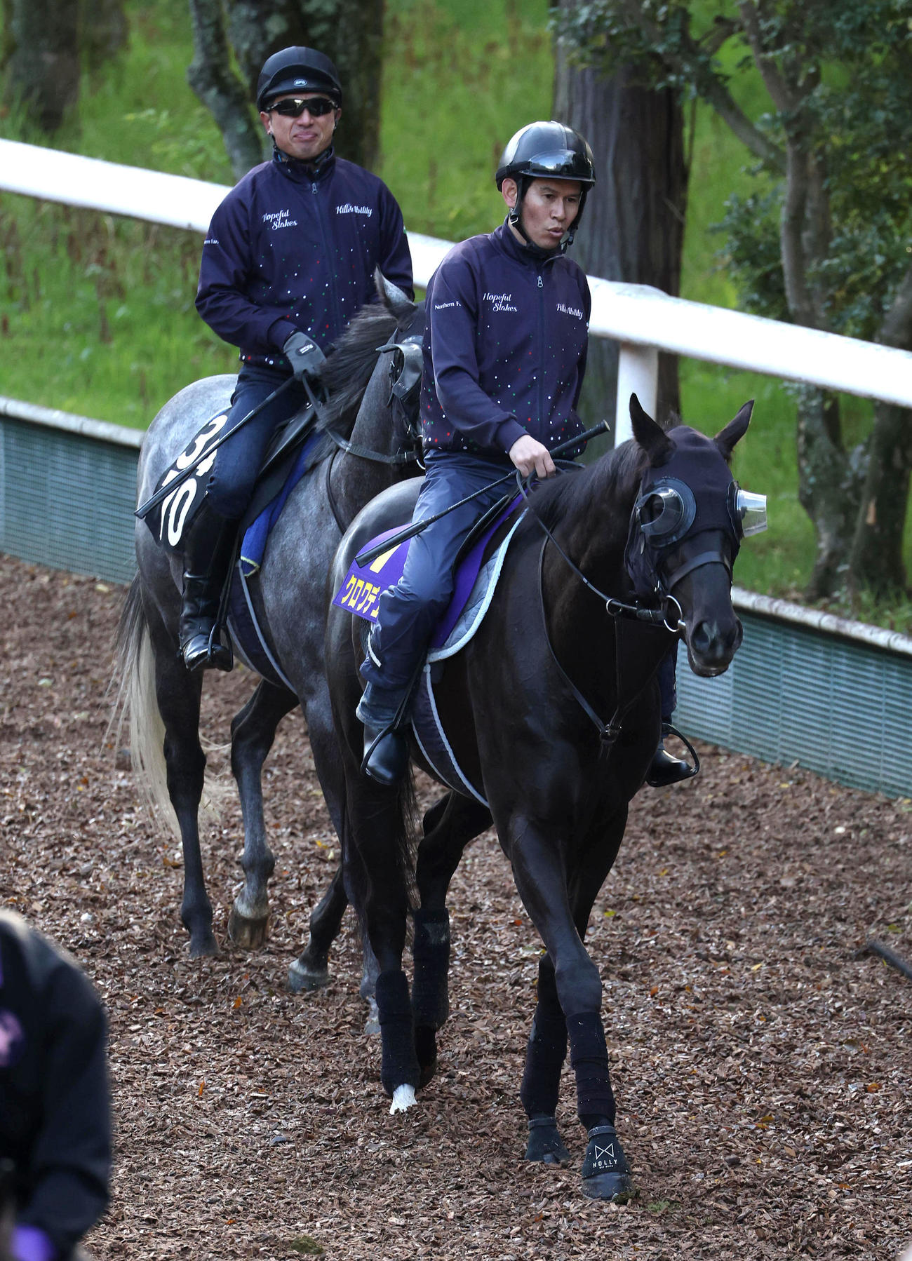 逍遥馬道で運動するクロワデュノール（撮影・白石智彦）