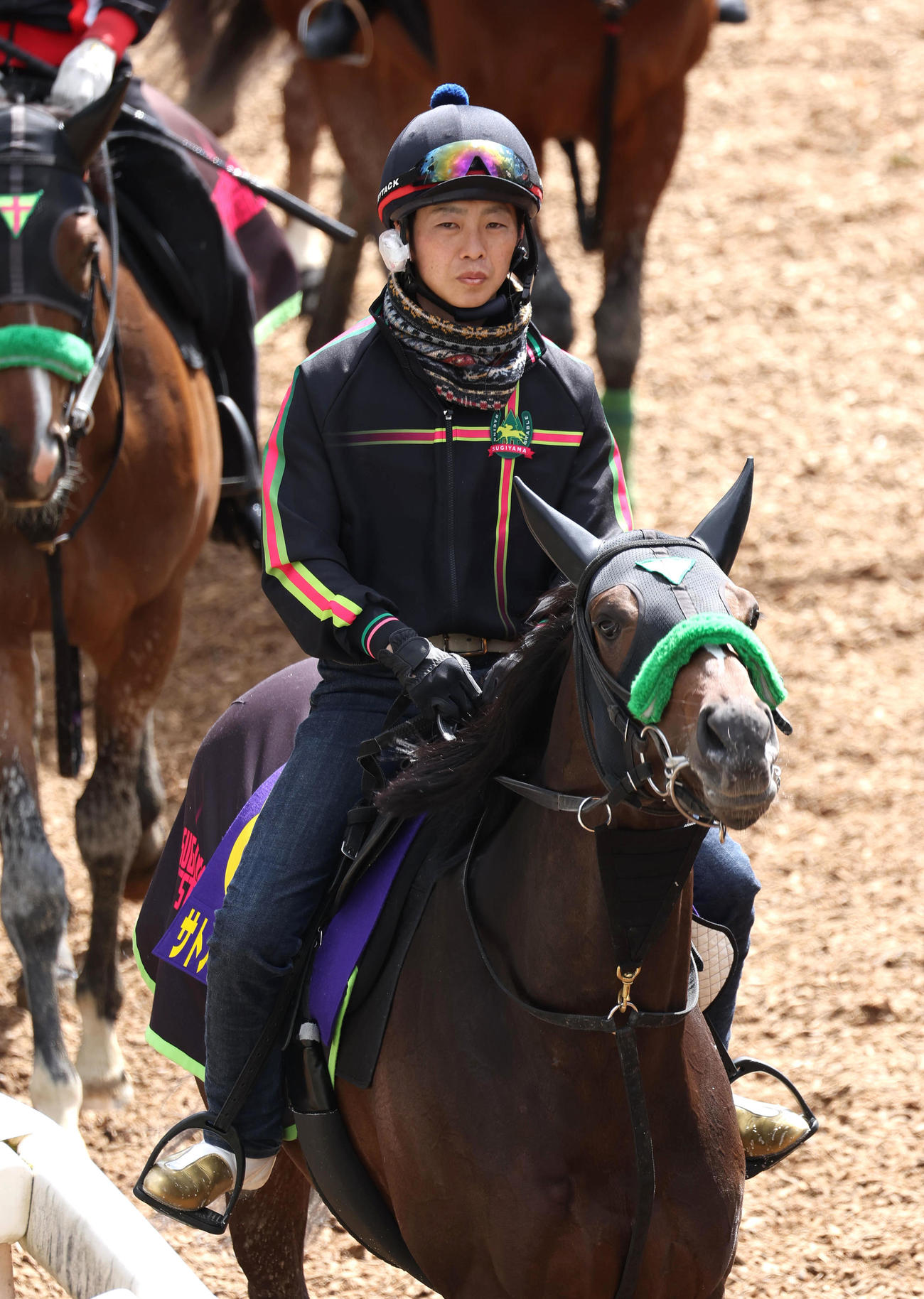 逍遥馬道で運動するサトノシャイニング（撮影・白石智彦）