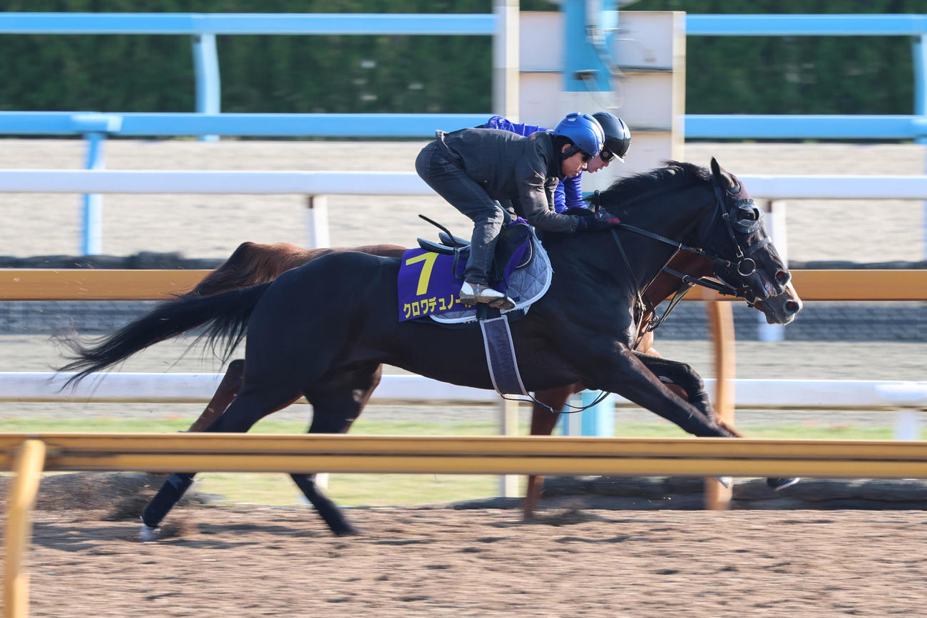 北村友一騎手が騎乗し、Cウッドを併せ馬で追い切られたクロワデュノール