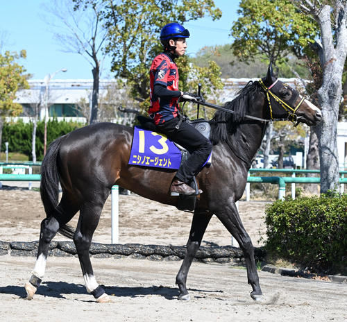 合う馬 皐月賞】ニシノエージェント馬なりで楽に併入、千葉師「仕上がったと