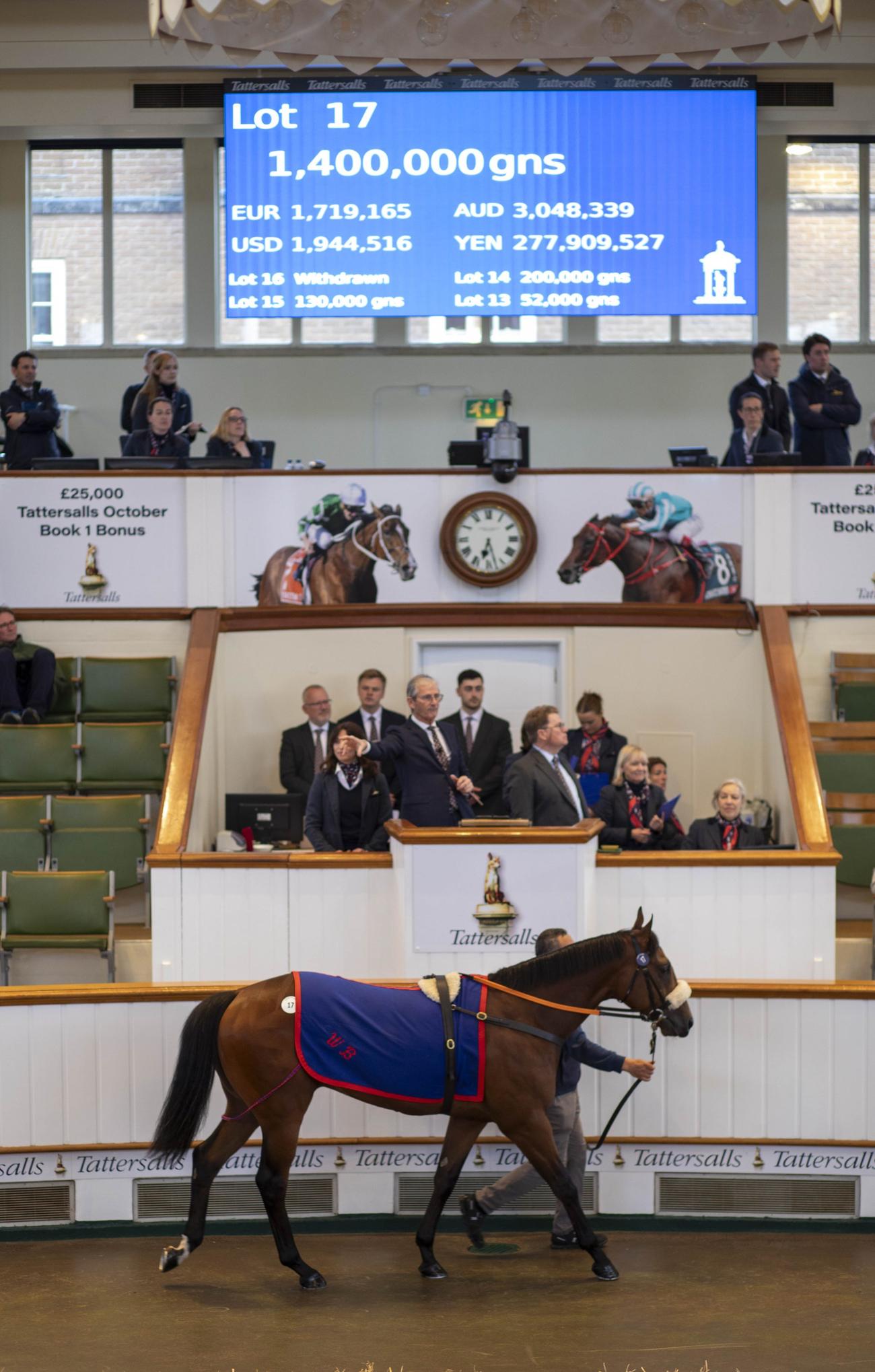 140万ギニーで落札されたアクラメーション産駒（C）Tattersalls