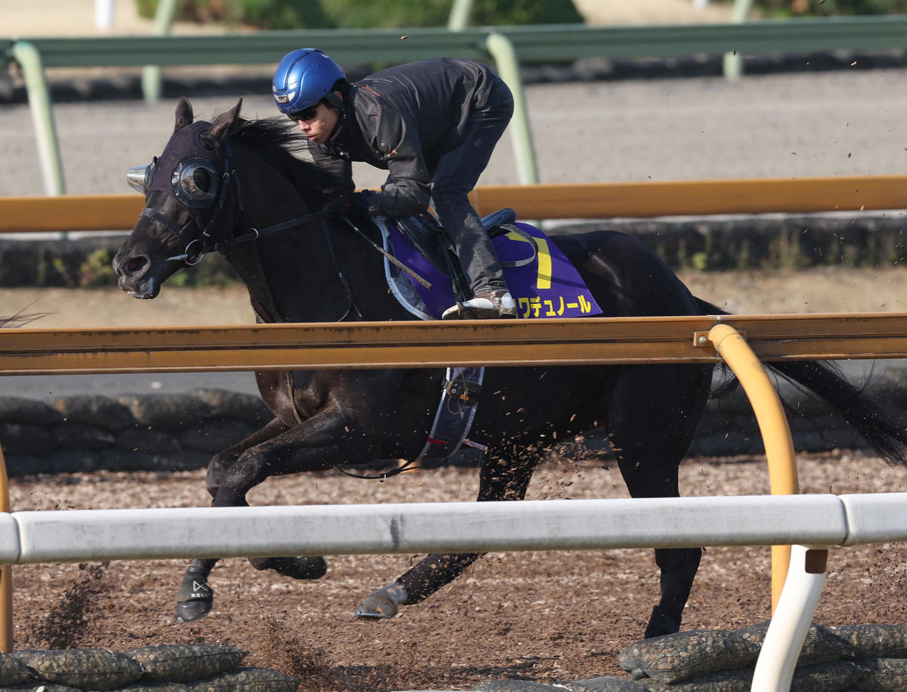 北村友一騎手を背にCWコースにて併せ馬で追い切るクロワデュノール