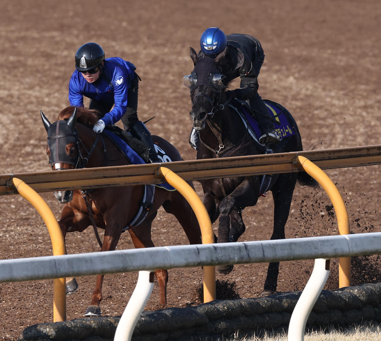 北村友騎手を背にCWコースにて併せ馬で追い切るクロワデュノール（右）