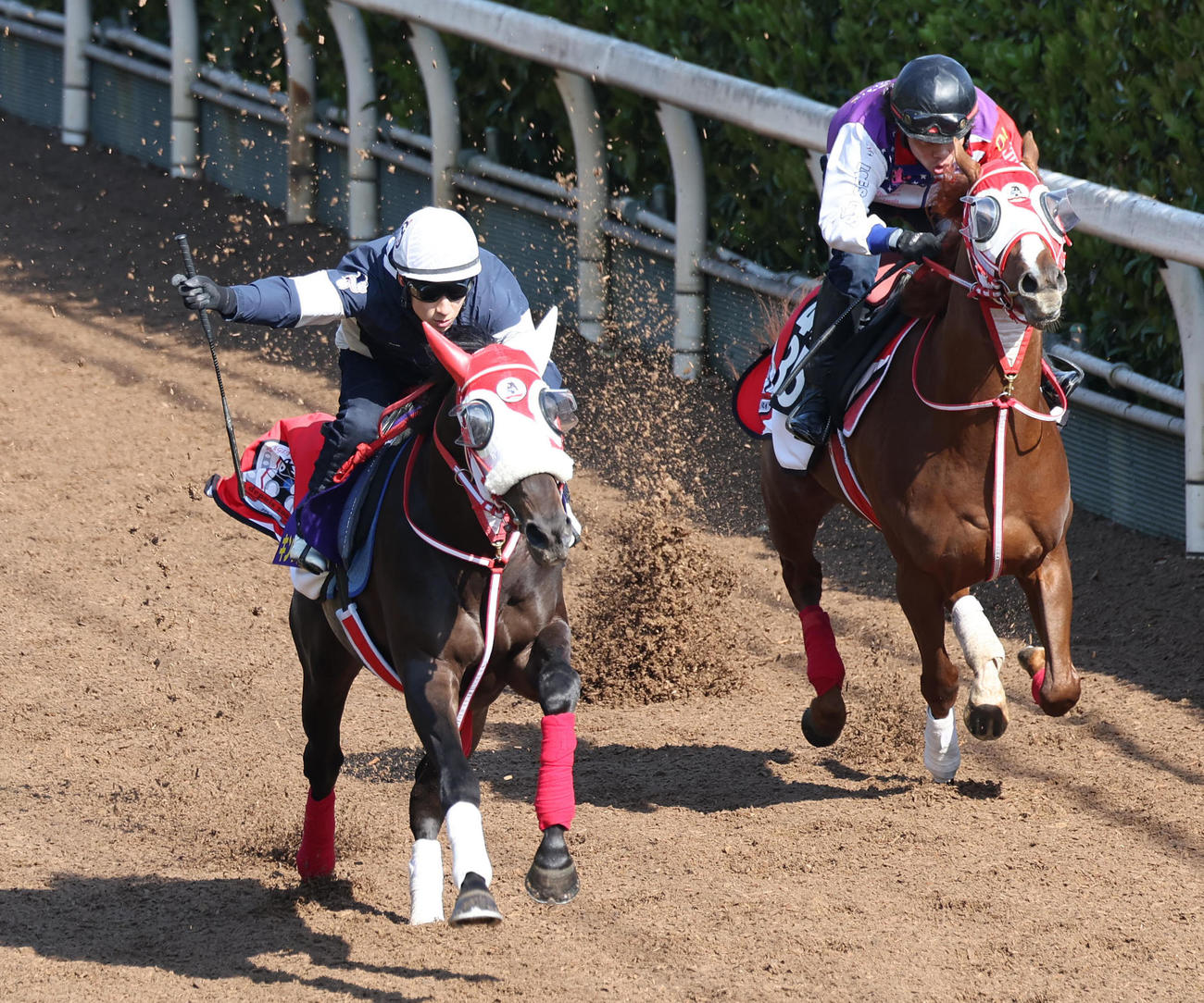 藤岡佑騎手を背に坂路をエンハンス（右）と併せ馬で追い切るキングスコール（撮影・白石智彦）