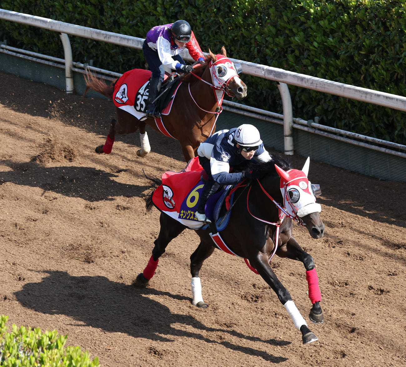 藤岡佑騎手を背に坂路をエンハンス（左）と併せ馬で追い切るキングスコール（撮影・白石智彦）