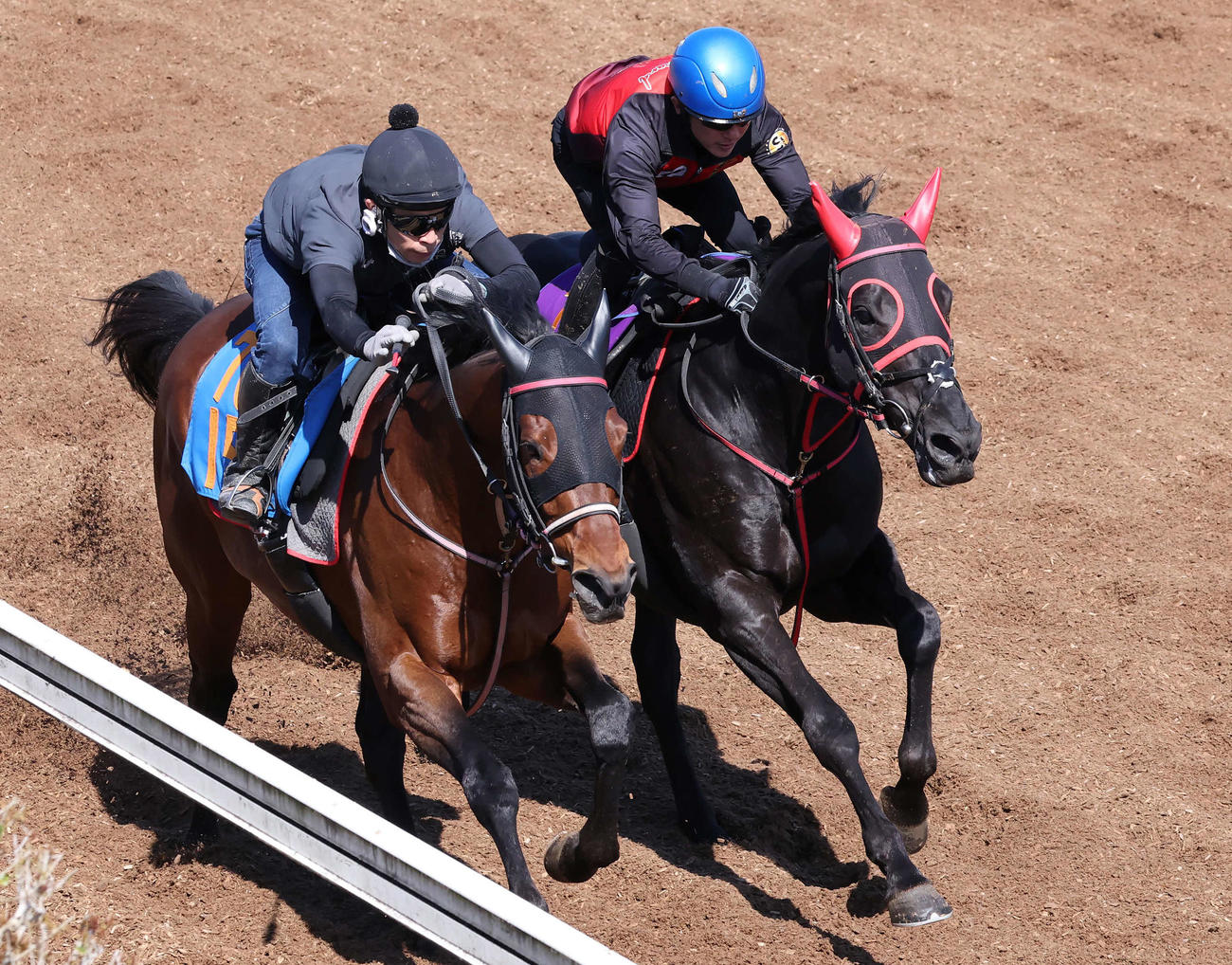 マイネルグロン（右）は石神深騎手を背に坂路でマイネルクロンヌと併せて追い切られた（撮影・丹羽敏通）