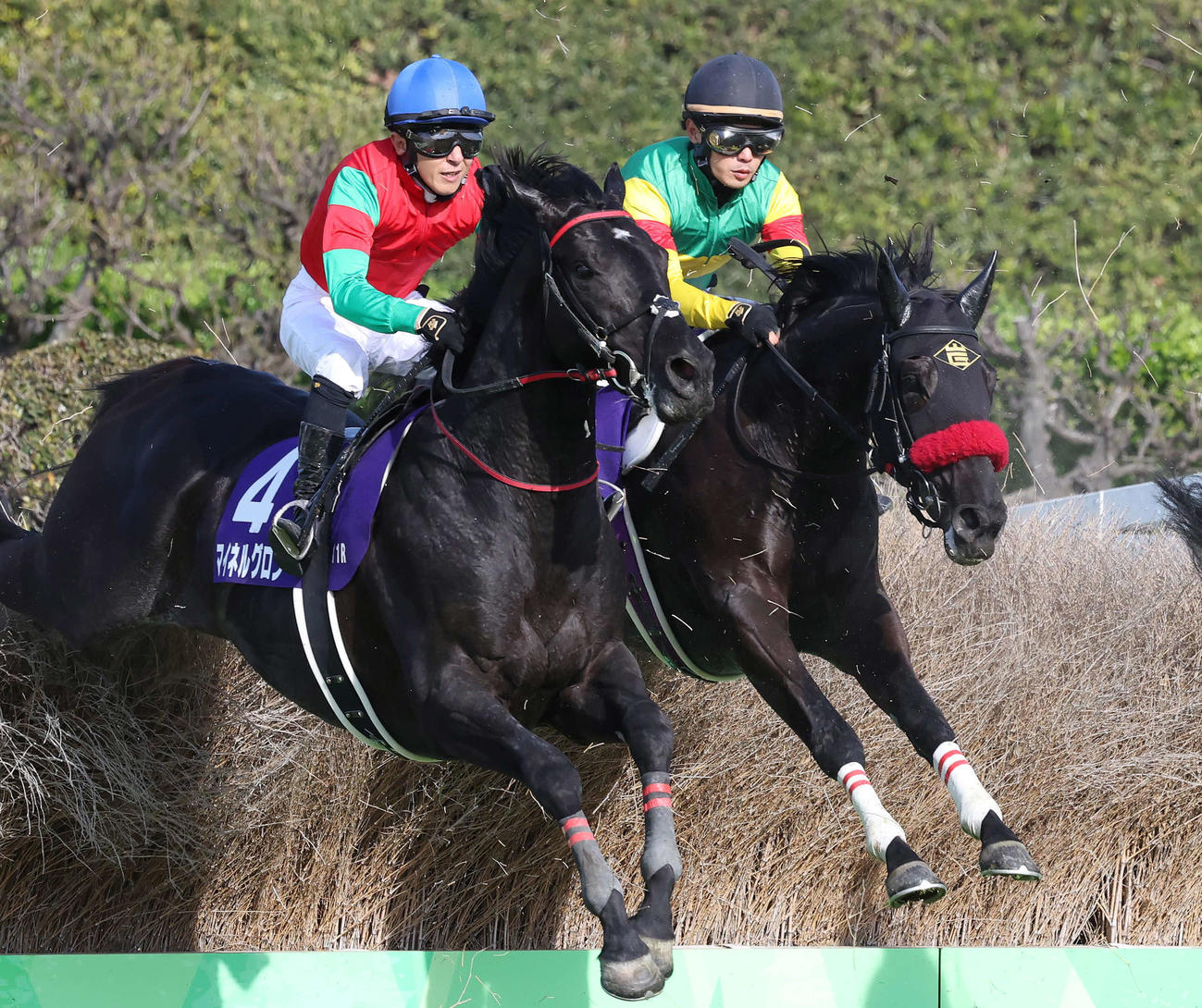 中山グランドジャンプに出走したエコロデュエル（右）（2024年4月13日撮影）