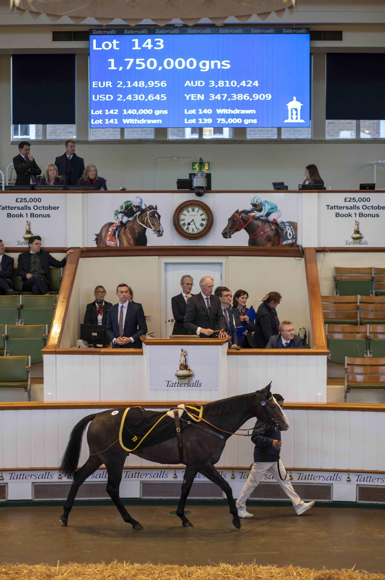 タタソールズ・クレイヴンセールの2日目に落札されたハヴァナグレー産駒（C）Tattersalls
