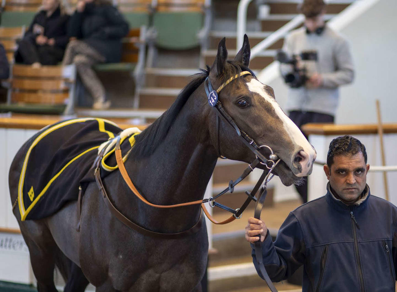 タタソールズ・クレイヴンセールの2日目に落札されたハヴァナグレー産駒（C）Tattersalls