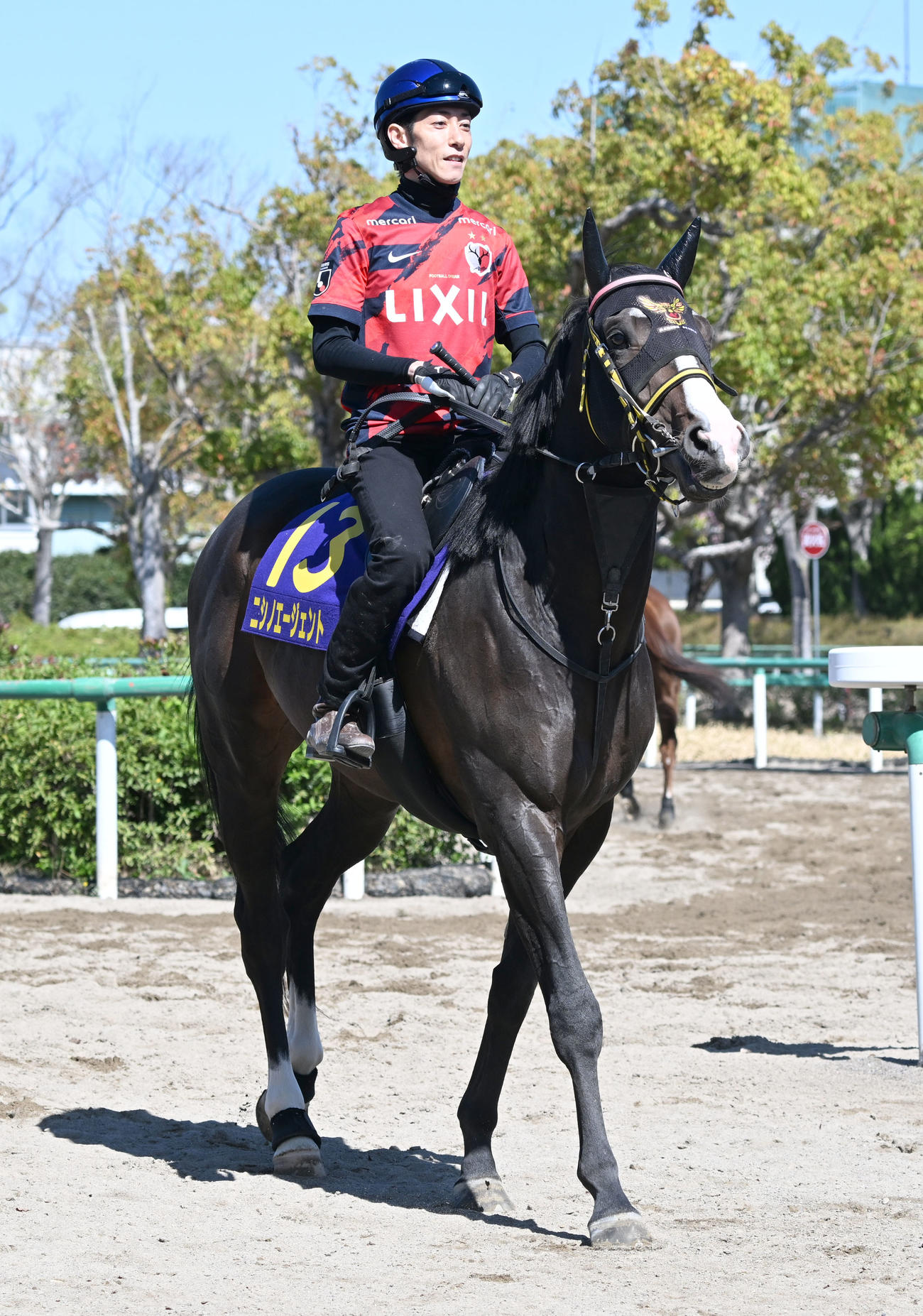 馬場に向かうニシノエージェントと津村騎手（2025年4月16日撮影）