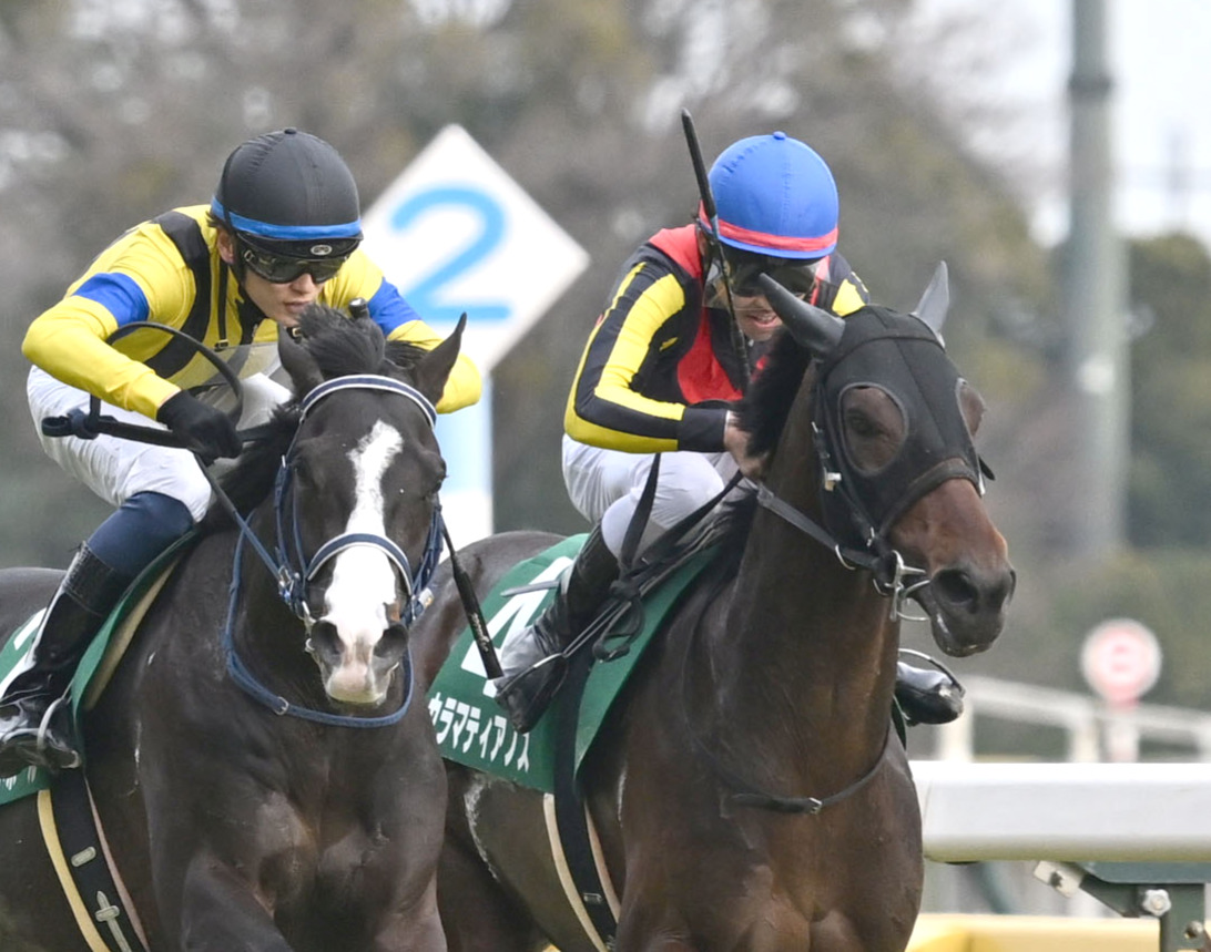 共同通信杯2着に敗れたカラマティアノス（右）。左は勝ったマスカレードボール