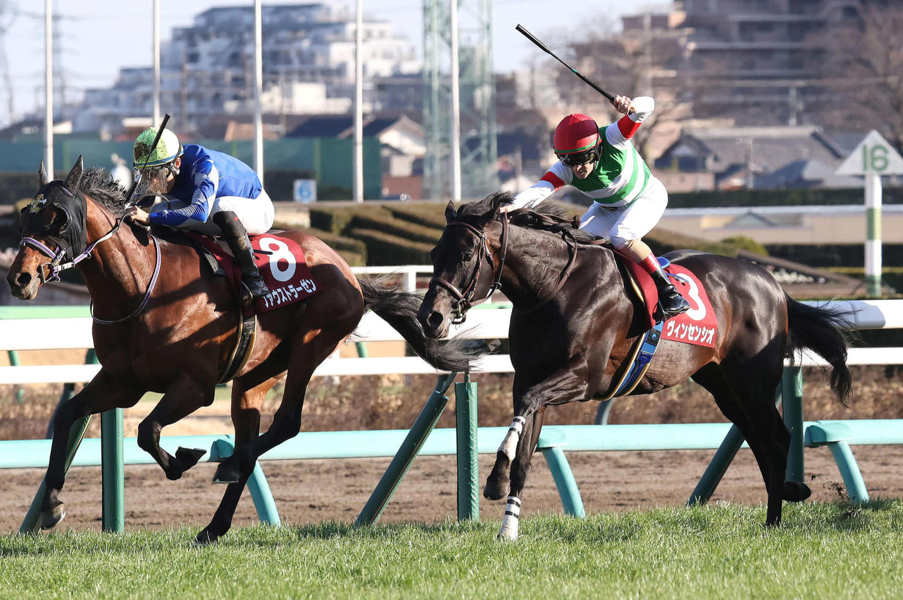 弥生賞2着に敗れたヴィンセンシオ（右）。左は勝ったファウストラーゼン